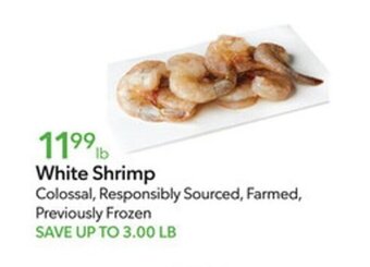Publix White Shrimp offer