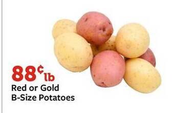 Fareway Red or gold b-size potatoes offer