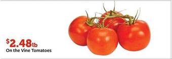 Fareway On the vine tomatoes offer