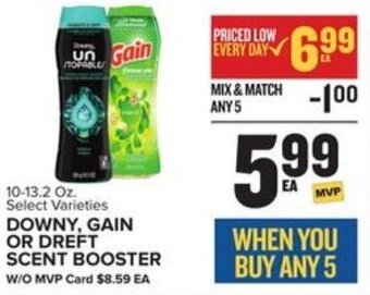 Food Lion Downy, Gain or Dreft Scent Booster 10.13.2 oz offer