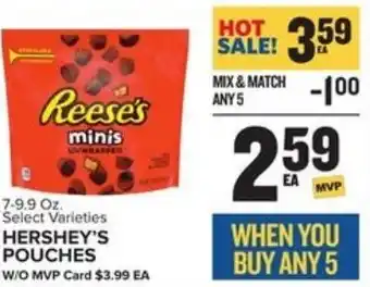 Food Lion Hershey's Pouches 7-9.9 oz offer