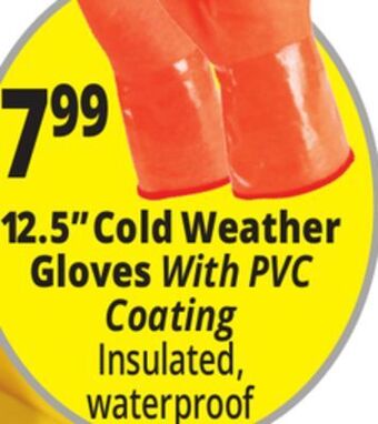 Ocean State Job Lot 12.5" cold weather gloves offer