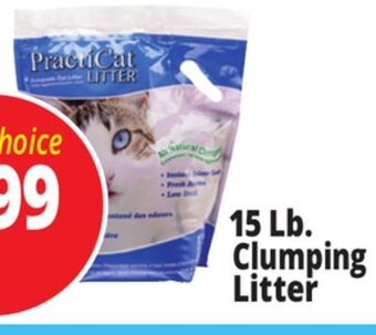 Ocean State Job Lot 15 lb. clumping litter offer