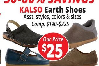Ocean State Job Lot Kalso earth shoes offer