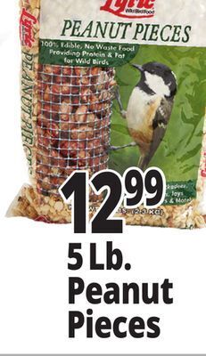Ocean State Job Lot 5 lb. peanut pieces offer