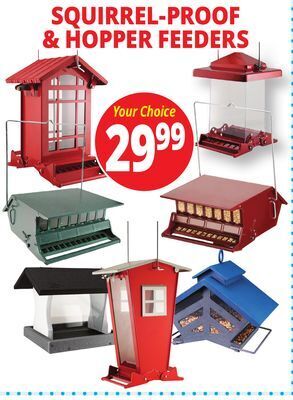 Ocean State Job Lot Squirrel-proof & hopper feeders offer