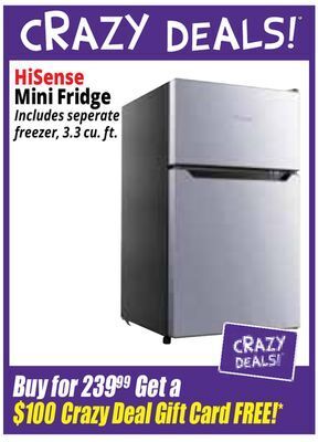 Ocean State Job Lot Hisense mini fridge offer