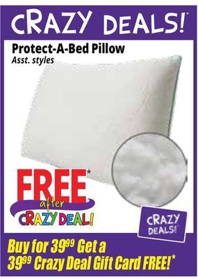 Ocean State Job Lot Protect-a-bed pillow offer