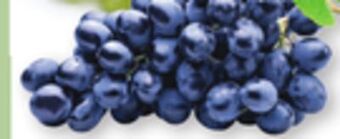 The Fresh Grocer Black seedless grapes offer