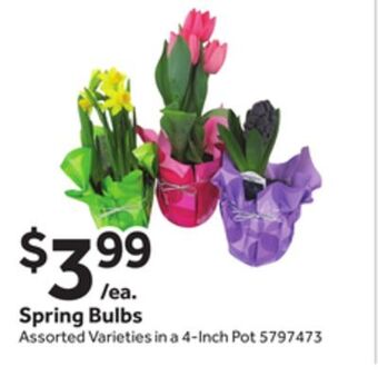 Stop&Shop Spring bulbs offer