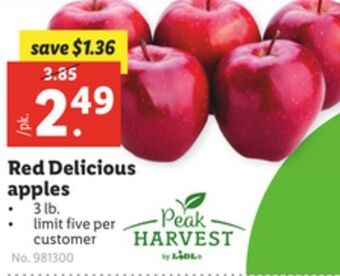 Lidl Red delicious apples offer