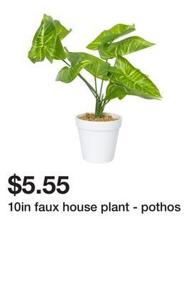 Five Below 10in faux house plant - pothos offer