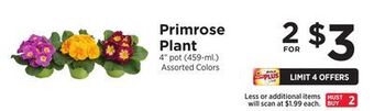 ShopRite Primrose plant offer