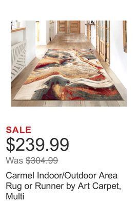 Costco Carmel indoor/outdoor area rug or runner by art carpet, multi offer