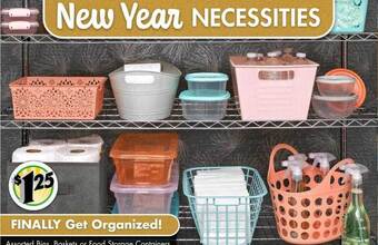 Dollar Tree Bins baskets or food storage containers offer