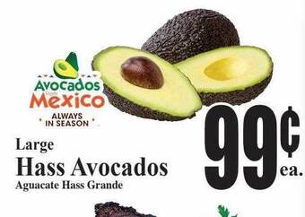 Baja Ranch Large hass avocados offer