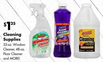 Dollar Tree Cleaning supplies offer
