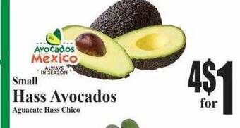 Baja Ranch Small hass avocados offer
