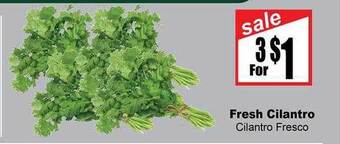 Fresh cilantro