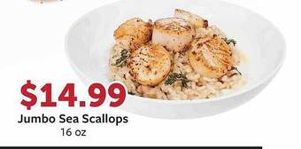 Fareway Jumbo sea scallops offer