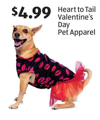 Aldi Heart to tail valentine's day pet apparel offer