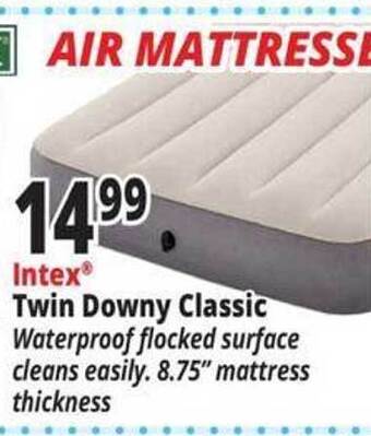 Ocean State Job Lot Intex twin downy classic offer