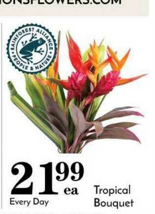 Pavilions Tropical Bouquet offer
