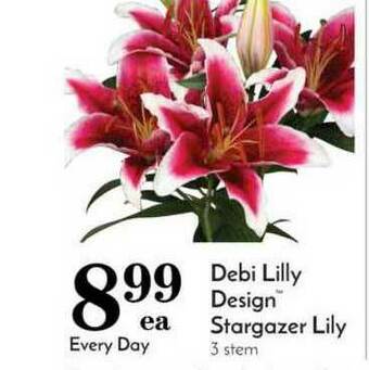 Pavilions Debi Lilly Design™ Stargazer Lily offer