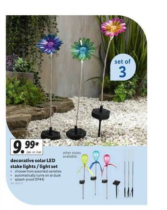 Lidl Decorative Solar Led Stake Lights - Light Set offer