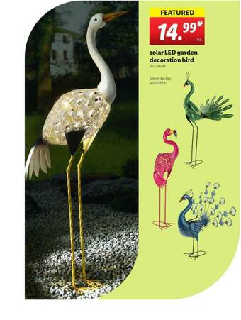 Lidl Solar Led Garden Decoration Bird offer