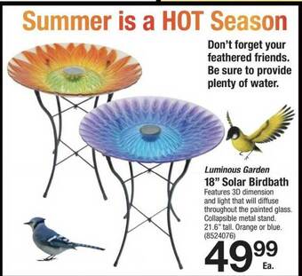 Ace Hardware Luminous Garden 18 offer