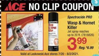 Ace Hardware Spectracide Pro Wasp & Hornet Killer offer