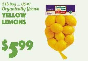 The Food Emporium Yellow lemons offer