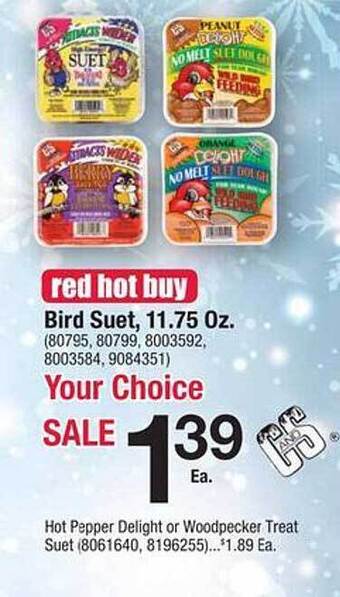 Ace Hardware Bird suet offer