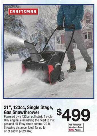 Ace Hardware Craftsman 21 offer
