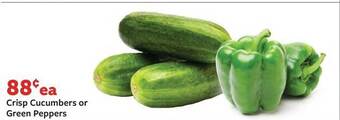 Fareway Crisp cucumbers or green peppers offer