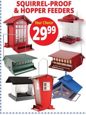 Ocean State Job Lot Squirrel-proof & hopper feeders offer