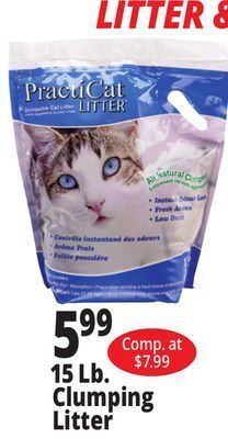 Ocean State Job Lot 15 lb. clumping litter offer
