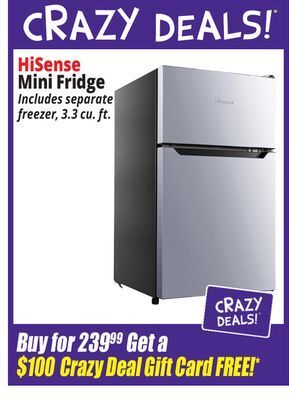 Ocean State Job Lot Hisense mini fridge offer