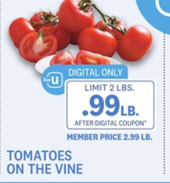 Kings Food Markets Tomatoes on the vine offer