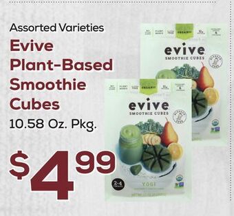 DeCicco & Sons Evive plant-based smoothie cubes offer