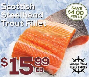 DeCicco & Sons Scottish steelhead trout fillet offer
