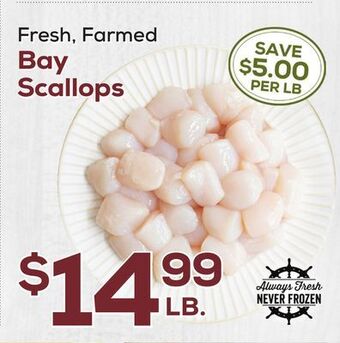 DeCicco & Sons Bay scallops offer