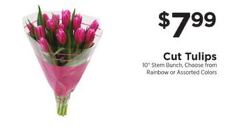 ShopRite Cut tulips offer