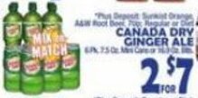 Bravo Supermarkets Canada Dry Ginger Ale offer