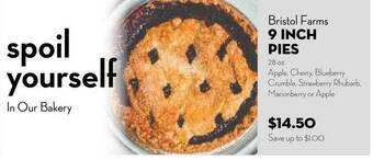 Bristol Farms 9 Inch Pies