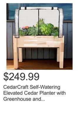 Costco Cedarcraft self-watering elevated cedar planter with greenhouse and bug cover offer
