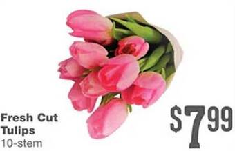 Forest Hills Food Fresh cut tulips offer