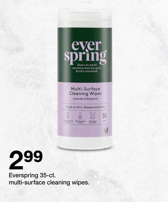 Target Everspring 35-ct. multi-surface cleaning wipes offer