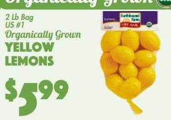 The Food Emporium Yellow lemons offer
